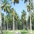 Image-square_50