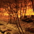 Image-square_50