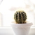 Image-square_50