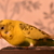Image-square_50