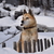 Image-square_50