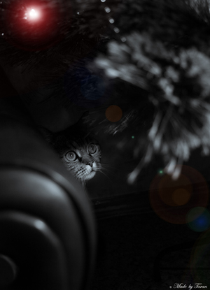 Image-preview_300x200
