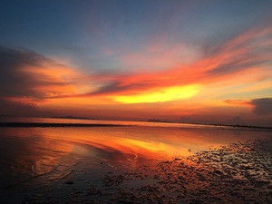 Image-preview_300x200