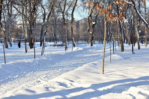 Image-preview_300x200