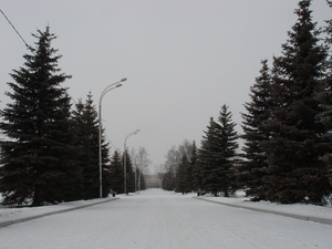 Image-preview_300x200
