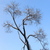 Image-square_50