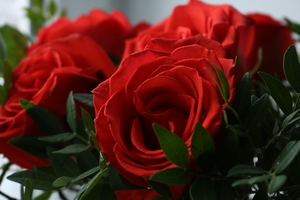 Image-preview_300x200