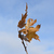 Image-square_50
