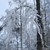 Image-square_50