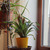Image-square_50