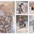 Image-square_50