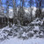 Image-square_50