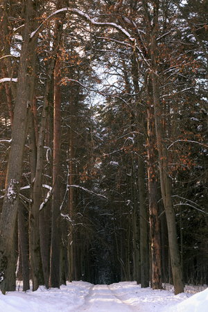 Image-preview_300x200