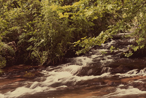 Image-preview_300x200