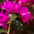 Image-square_50