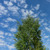 Image-square_50