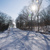 Image-square_50