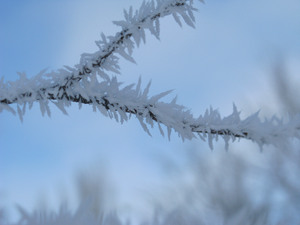 Image-preview_300x200