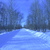 Image-square_50