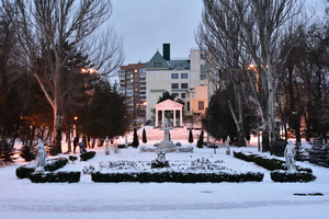 Image-preview_300x200