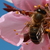 Image-square_50