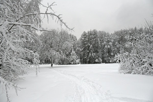 Image-preview_300x200
