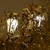 Image-square_50