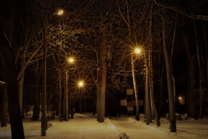 Image-preview_300x200