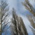 Image-square_50