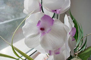 Image-preview_300x200
