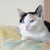 Image-square_50