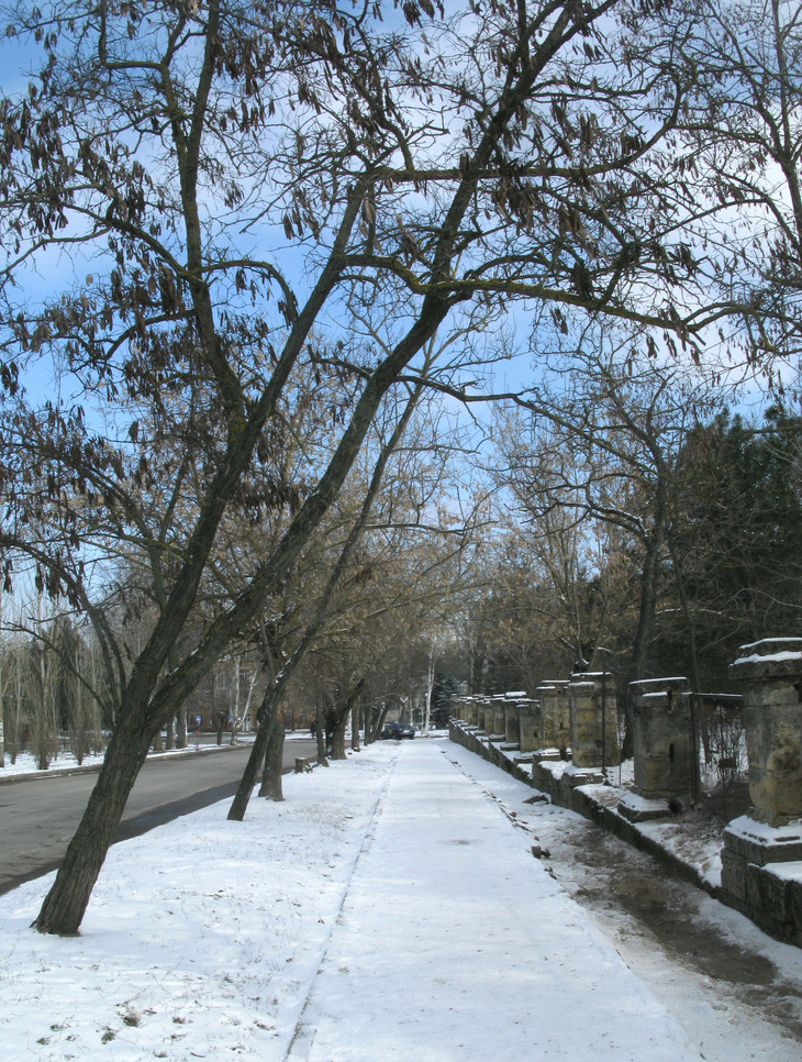 Image-normal