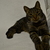 Image-square_50