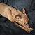 Image-square_50