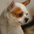 Image-square_50