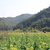 Image-square_50