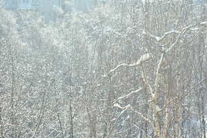Image-preview_300x200