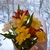 Image-square_50
