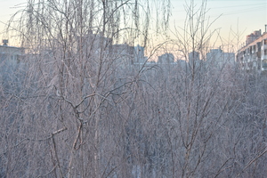 Image-preview_300x200