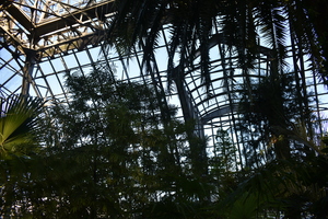 Image-preview_300x200