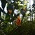 Image-square_50