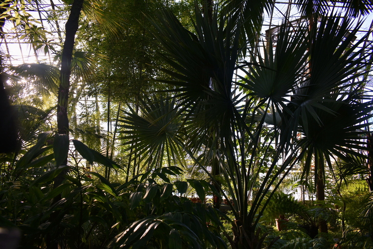 Image-normal