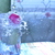 Image-square_50