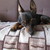 Image-square_50