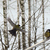 Image-square_50