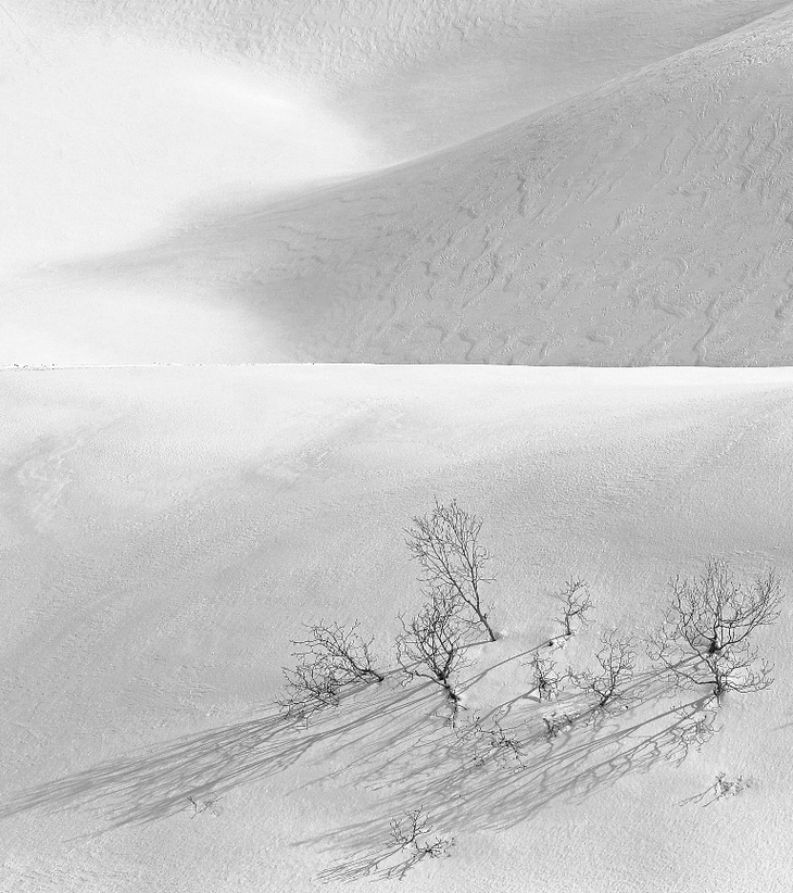 Image-normal