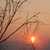 Image-square_50