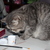 Image-square_50