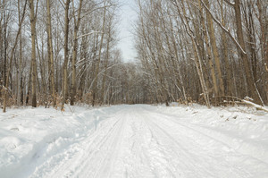 Image-preview_300x200
