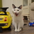 Image-square_50